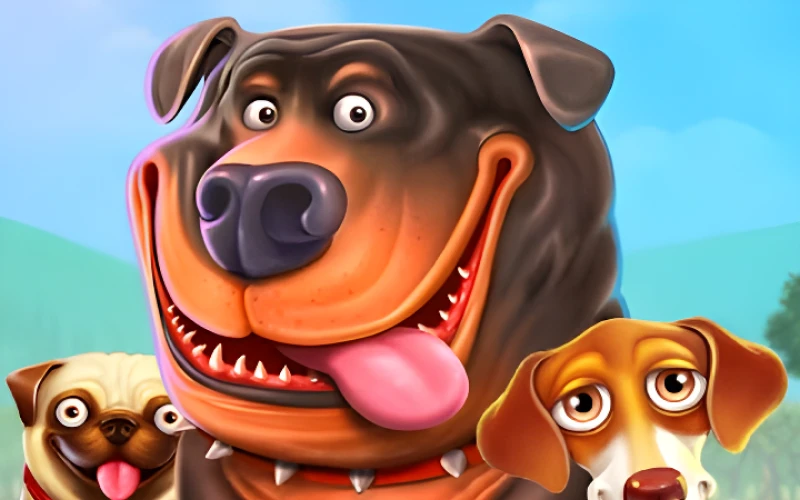 Nikmati keseruan bermain slot The Dog House Megaways hanya di Stake Indonesia.